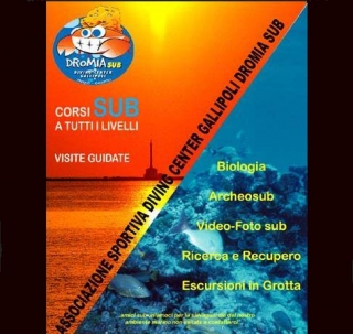  Underwater sports association and guided dives 